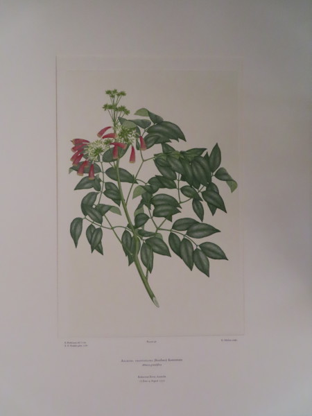 image FDA-E.2916_5_9-2016-A