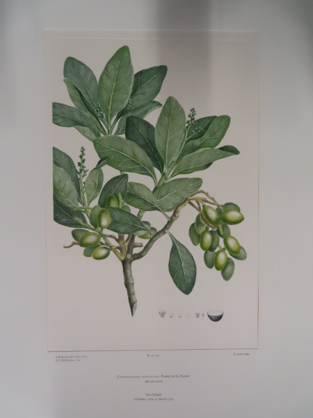 image FDA-E.2916_21_7-2016-A