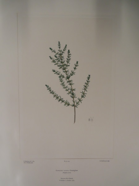 FDA-E.2916_23_8-2016-A image FDA-E.2916_23_8-2016-A