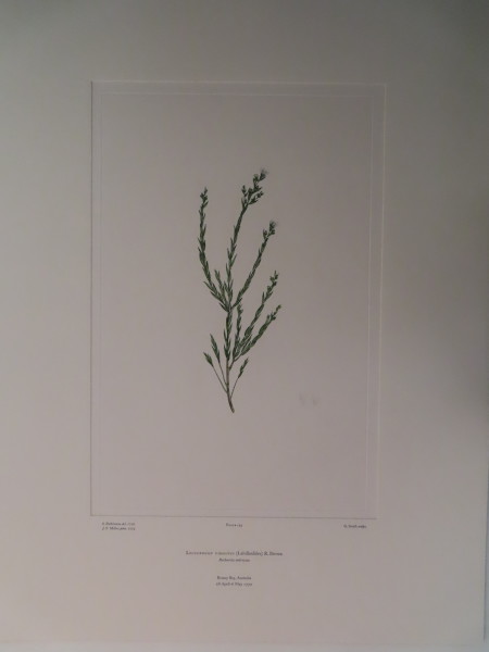 FDA-E.2916_9_16-2016 image FDA-E.2916_9_16-2016