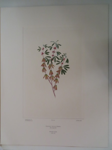 image FDA-E.2916_3_17-2016