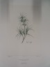 image FDA-E.2916_24_12-2016