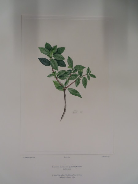 image FDA-E.2916_32_12-2016-A