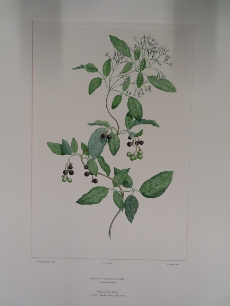 image FDA-E.2916_29_16-2016