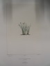 image FDA-E.2916_34_20-2016-A