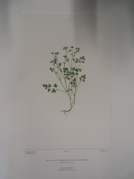 image FDA-E.2916_22_16-2016