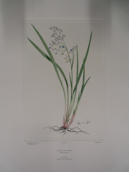 FDA-E.2916_26_24-2016-A image FDA-E.2916_26_24-2016-A