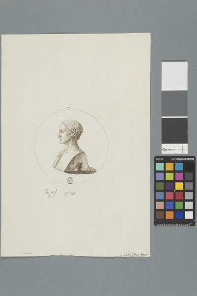 image ECL-Bn.9_21-2013