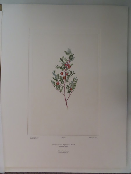 image FDA-E.2916_3_4-2016