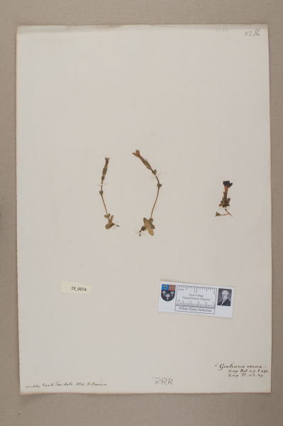 image NHM_HH_19.74-2010