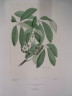 image FDA-E.2916_22_21-2016-A