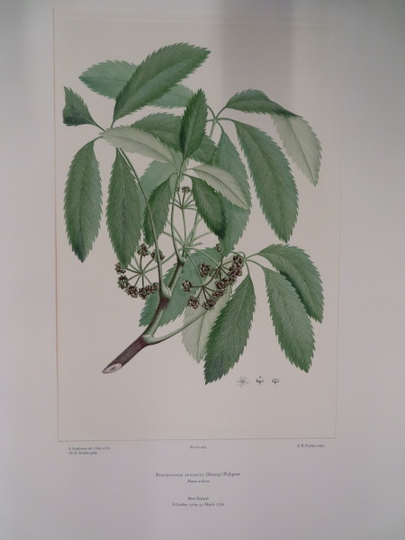 image FDA-E.2916_22_21-2016-A