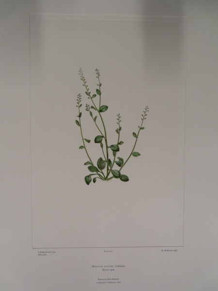 image FDA-E.2916_24_22-2016-A