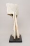 image FDA-A.431-2014-crB