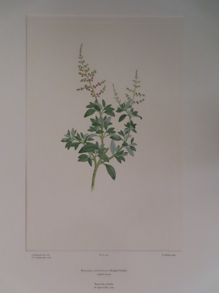 image FDA-E.2916_12_15-2016-A