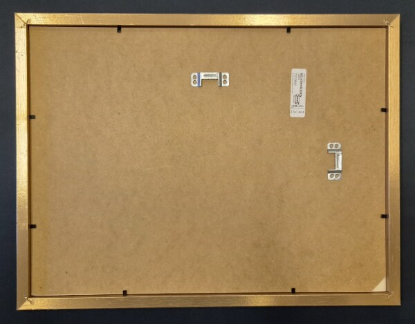 FDA-E.3342-2026-A image FDA-E.3342-2026-A