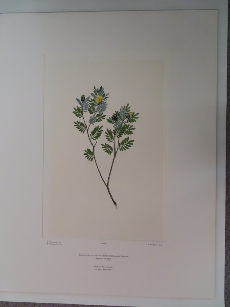 FDA-E.2916_3_9-2016 image FDA-E.2916_3_9-2016