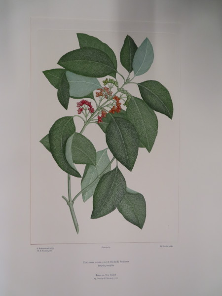 image FDA-E.2916_22_26-2016-A