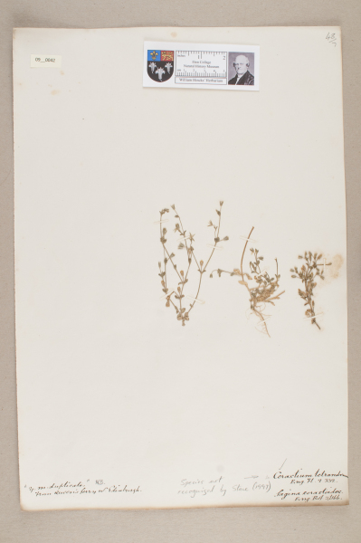 image NHM_HH_9.42-2010