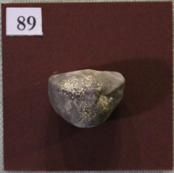 image NHM.550-2017
