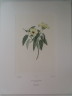 image FDA-E.2916_2_5-2016-A