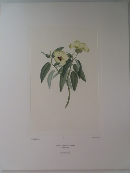 FDA-E.2916_2_5-2016-A image FDA-E.2916_2_5-2016-A