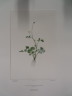 image FDA-E.2916_20_6-2016