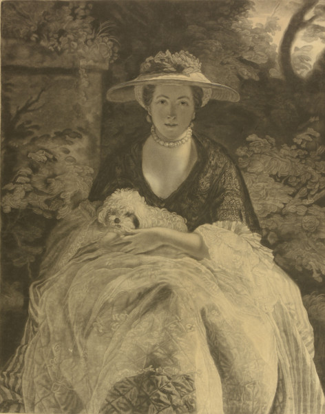 image FDA-E.363-2010
