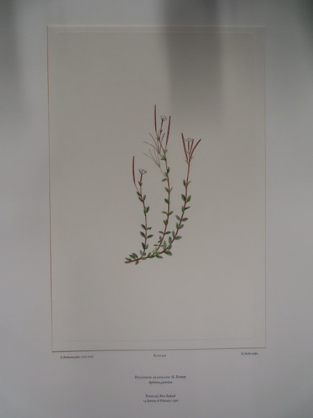 FDA-E.2916_22_7-2016 image FDA-E.2916_22_7-2016
