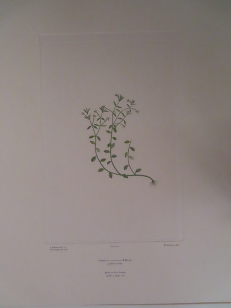 image FDA-E.2916_8_18-2016