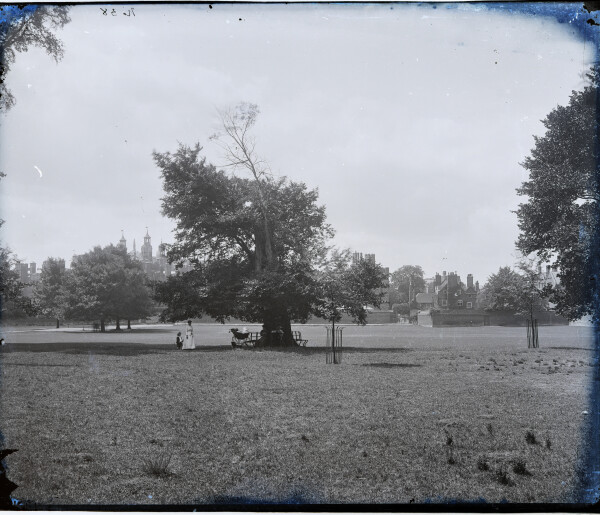 image PA-N.1081-2024