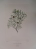 image FDA-E.2916_12_26-2016-A