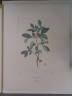 image FDA-E.2916_4_21-2016