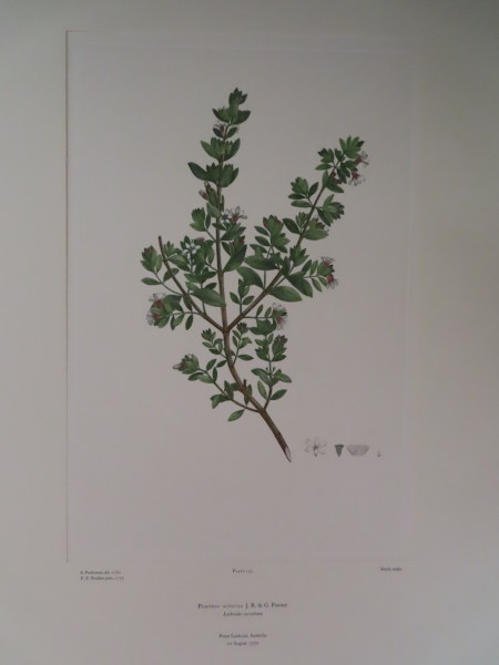 image FDA-E.2916_6_24-2016