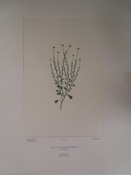 FDA-E.2916_8_5-2016-A image FDA-E.2916_8_5-2016-A