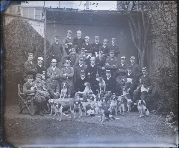 image PA-N.1233-2024