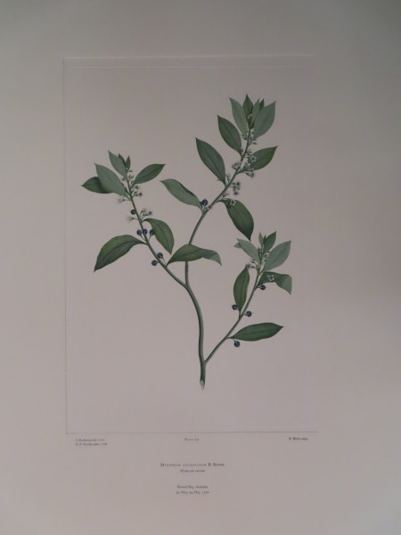 image FDA-E.2916_12_7-2016