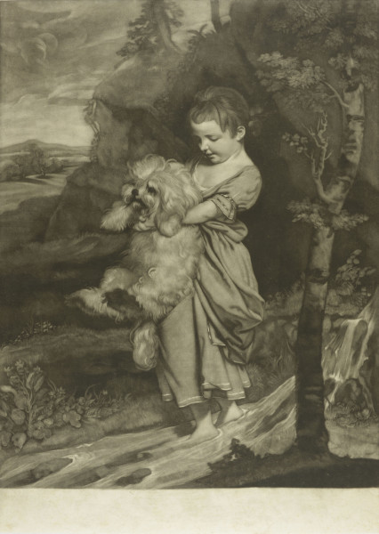 image FDA-E.379-2010