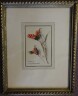 image FDA-D.1547-2016