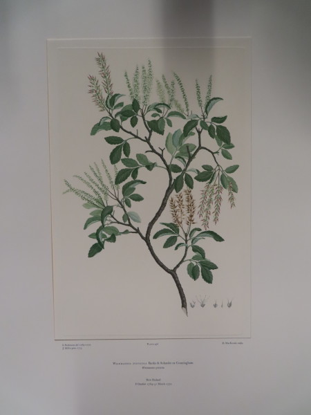 FDA-E.2916_21_16-2016 image FDA-E.2916_21_16-2016