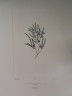 image FDA-E.2916_6_6-2016-A