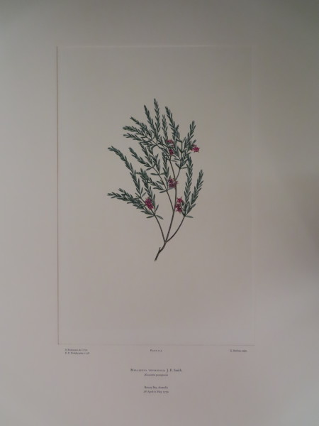 image FDA-E.2916_6_6-2016-A