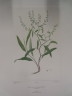 image FDA-E.2916_25_23-2016-A