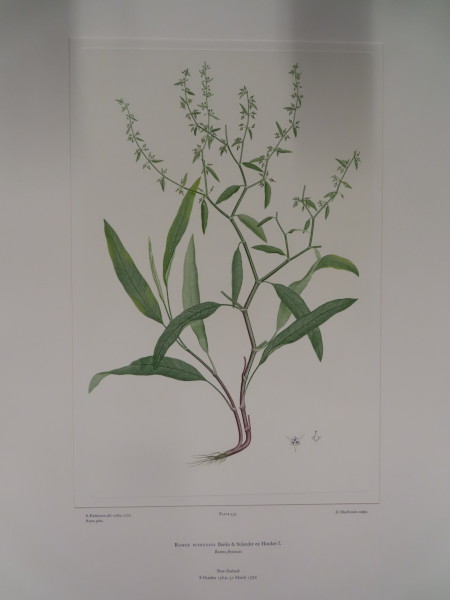image FDA-E.2916_25_23-2016-A