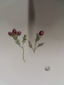 image FDA-E.2916_34_13-2016-A