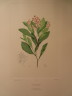 image FDA-E.2916_28_13-2016