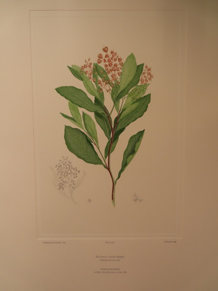 FDA-E.2916_28_13-2016 image FDA-E.2916_28_13-2016
