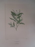 image FDA-E.2916_16_20-2016-A
