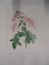 image FDA-E.2916_18_8-2016-A