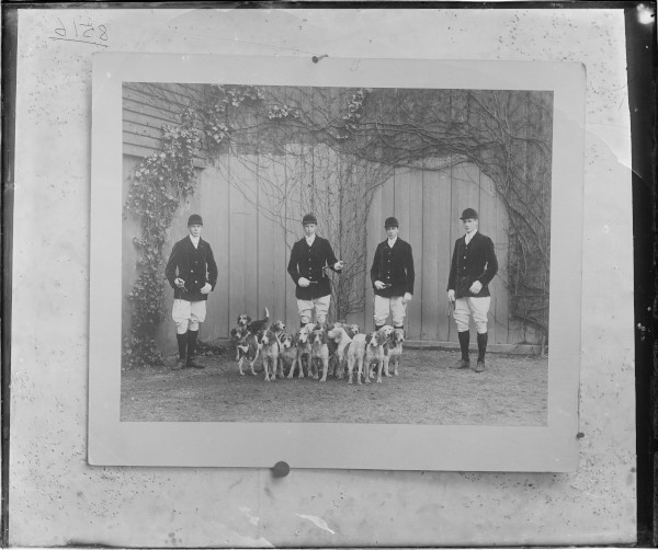 image PA-N.788-2024